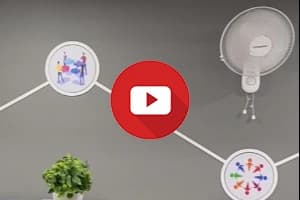 Video 5
